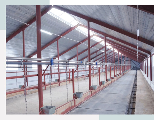 Строительство коровников в Туймазы от 611 руб.