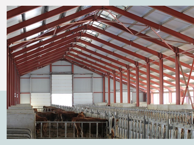 Строительство коровников в Туймазы