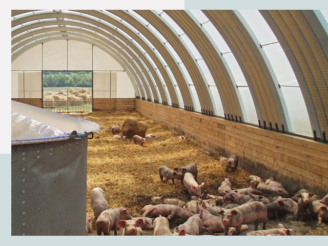 Строительство свинарников в Туймазы