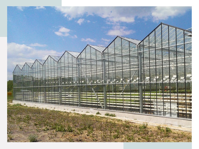 Строительство теплиц в Туймазы от 611 руб. за м²