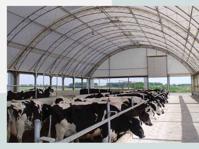 Тентовые коровники в Туймазы